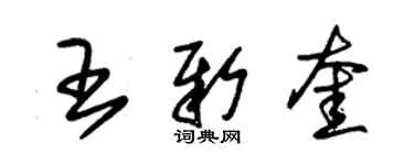 朱锡荣王新奎草书个性签名怎么写