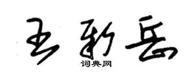 朱锡荣王新岳草书个性签名怎么写