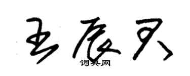 朱锡荣王辰君草书个性签名怎么写