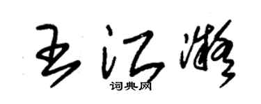 朱锡荣王江凝草书个性签名怎么写
