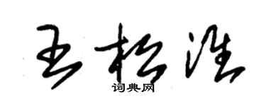 朱锡荣王松淮草书个性签名怎么写