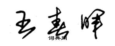朱锡荣王春晖草书个性签名怎么写