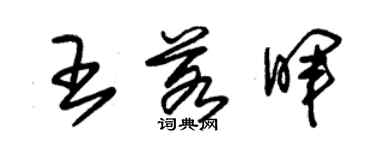 朱锡荣王若晖草书个性签名怎么写