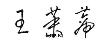 骆恒光王茉蒂草书个性签名怎么写