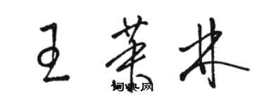 骆恒光王茉林草书个性签名怎么写