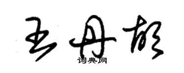 朱锡荣王丹胡草书个性签名怎么写