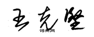 朱锡荣王克坚草书个性签名怎么写