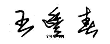 朱锡荣王丰春草书个性签名怎么写