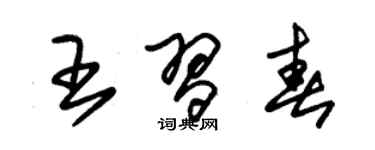 朱锡荣王习春草书个性签名怎么写