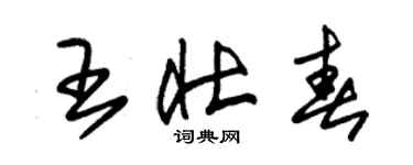 朱锡荣王壮春草书个性签名怎么写