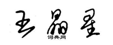 朱锡荣王晶星草书个性签名怎么写