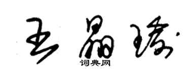 朱锡荣王晶瑜草书个性签名怎么写