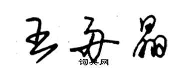 朱锡荣王舟晶草书个性签名怎么写