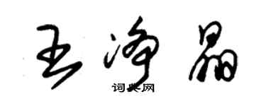 朱锡荣王净晶草书个性签名怎么写