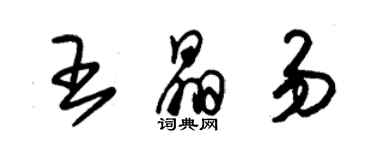 朱锡荣王晶易草书个性签名怎么写