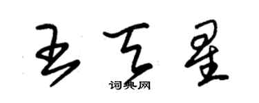 朱锡荣王天星草书个性签名怎么写