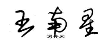 朱锡荣王南星草书个性签名怎么写