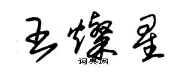 朱锡荣王灿星草书个性签名怎么写