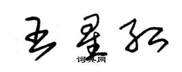 朱锡荣王星红草书个性签名怎么写
