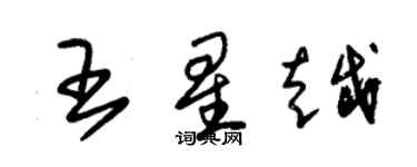 朱锡荣王星越草书个性签名怎么写