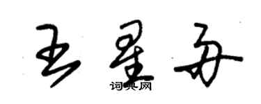 朱锡荣王星舟草书个性签名怎么写