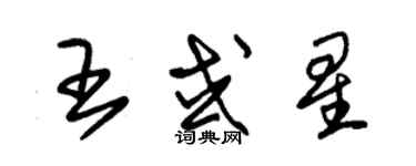 朱锡荣王或星草书个性签名怎么写