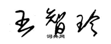 朱锡荣王智玲草书个性签名怎么写