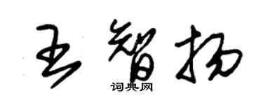 朱锡荣王智扬草书个性签名怎么写