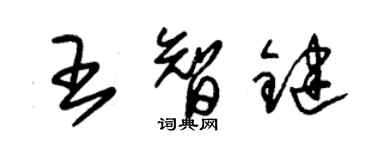 朱锡荣王智键草书个性签名怎么写