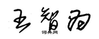 朱锡荣王智为草书个性签名怎么写