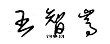 朱锡荣王智嵩草书个性签名怎么写