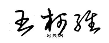 朱锡荣王柯维草书个性签名怎么写