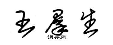 朱锡荣王群生草书个性签名怎么写