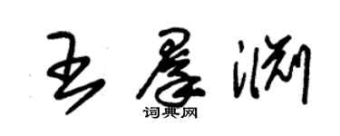 朱锡荣王群渊草书个性签名怎么写