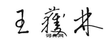 骆恒光王获林草书个性签名怎么写