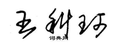 朱锡荣王科珂草书个性签名怎么写