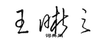 骆恒光王晰之草书个性签名怎么写