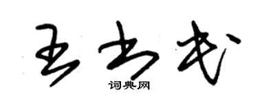 朱锡荣王书民草书个性签名怎么写