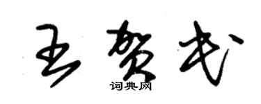 朱锡荣王贺民草书个性签名怎么写