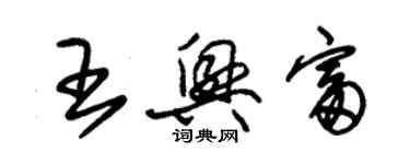 朱锡荣王兴富草书个性签名怎么写