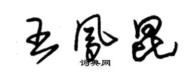 朱锡荣王凤昆草书个性签名怎么写