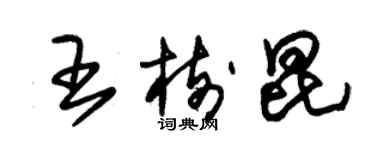 朱锡荣王树昆草书个性签名怎么写