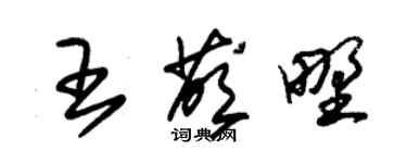 朱锡荣王荫野草书个性签名怎么写