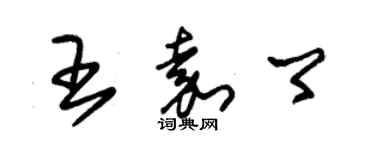 朱锡荣王嘉卿草书个性签名怎么写