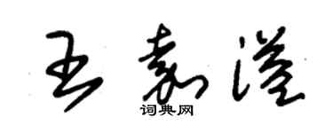 朱锡荣王嘉溢草书个性签名怎么写