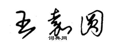 朱锡荣王嘉圆草书个性签名怎么写