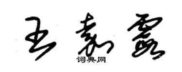 朱锡荣王嘉霞草书个性签名怎么写