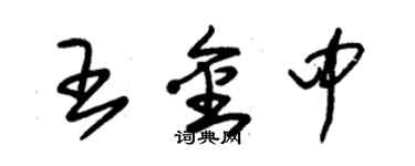 朱锡荣王金中草书个性签名怎么写