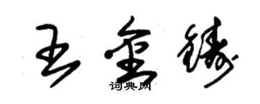 朱锡荣王金铸草书个性签名怎么写