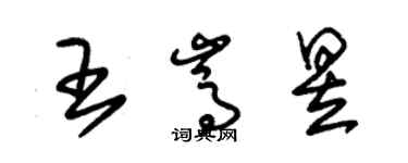 朱锡荣王嵩昱草书个性签名怎么写